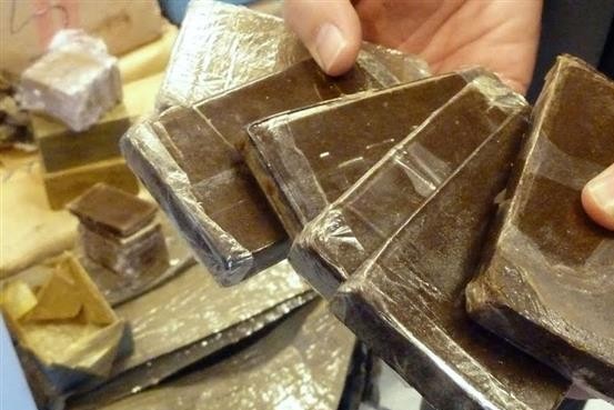 حبس المتهم بالاتجار في الحشيش بمنشأة القناطر