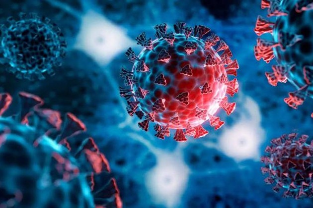 دراسة: دلتاكرون متحور جديد يجمع بين متحوري دلتا وأوميكرون