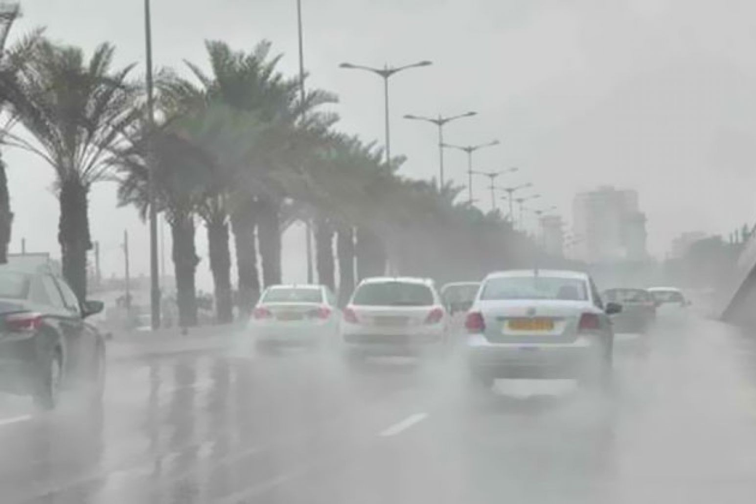 شاهد .. الأرصاد تكشف تفاصيل حالة الطقس خلال الساعات القادمة