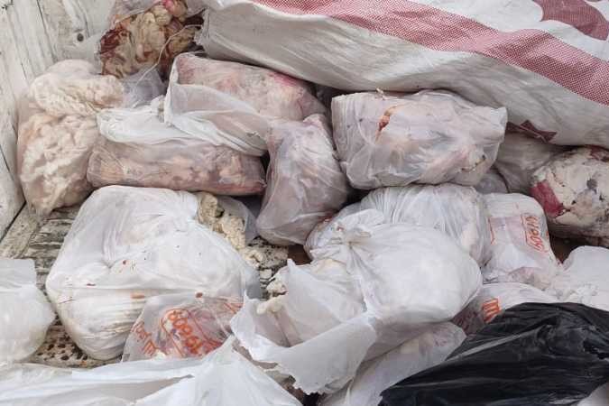 ضبط 46 طن لحوم غير صالحة للاستهلاك الآدمى بالجيزة