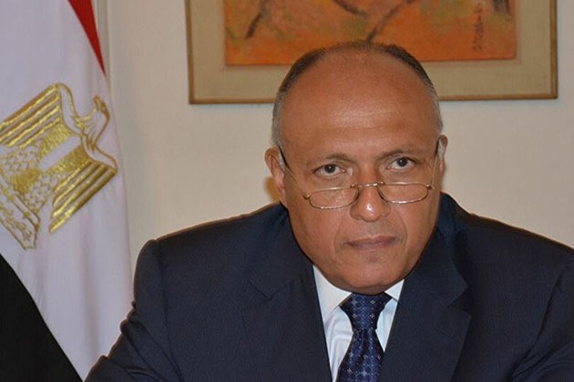 سامح شكري: ناقشت مع وزيرة خارجية ألمانيا ملف حقوق الإنسان فى البلدين