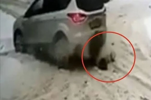 شاهد.. عجوز تنجو من الدهس مرتين أسفل عجلات سيارة