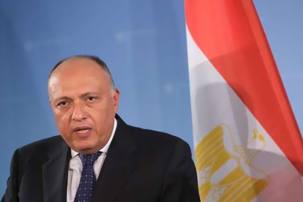 جلسة مباحثات ثنائية لوزيري خارجية مصر والمجر اليوم