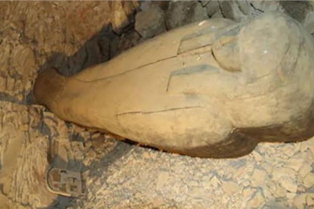 عرض قطعة أثرية لـ