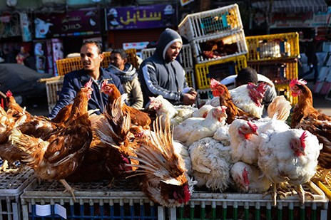 وسط توقعات بمزيد من الغلاء.. نار الحرب الروسية تشعل الأسواق المصرية