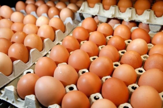 شاهد .. انخفاض أسعار كرتونة البيض 5 جنيهات