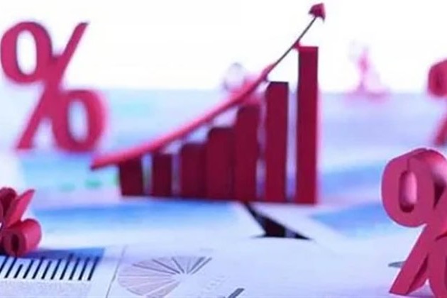 البنك المركزي يقرر رفع سعر الفائدة 1%