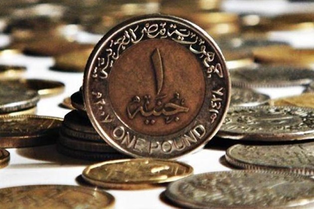 وزارة المالية: ٥٠٪ زيادة فى الكميات المطروحة من «الفكة» خلال شهر رمضان