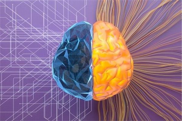 علماء: دماغ الإنسان يتطلب طاقة أقل من التي يحتاجها المصباح الكهربائي للعمل