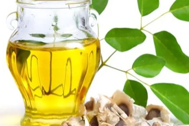 تعرف على فوائد زيت المورينجا