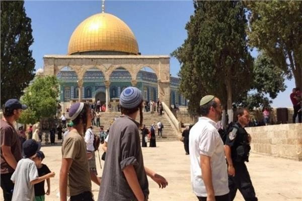 مستوطنون يقتحمون المسجد الأقصى ويؤدون طقوسًا تلمودية
