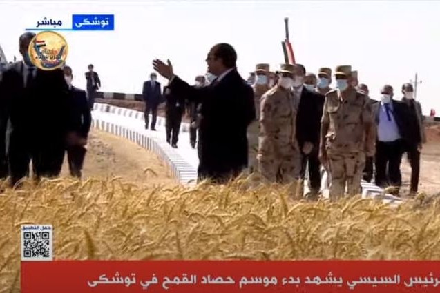 بث مباشر.. الرئيس السيسي يتفقد مشروع توشكى بدء موسم حصاد القمح