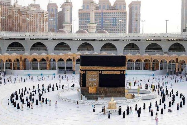 تعرف على فوائد