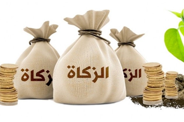 شاهد .. الإفتاء تكشف عن الخطأ الذي ينقص من أجر زكاة الفطر