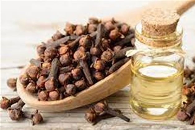 صحة الجلد وحب الشباب.. فوائد صحية مذهلة لـ زيت القرنفل