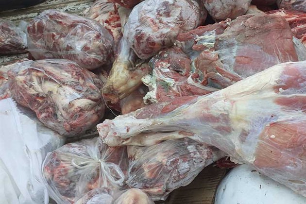 ضبط 290 كيلو لحوم فاسدة غير صالحة للاستخدام الآدمى في المنوفية