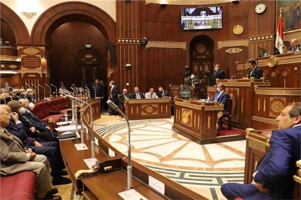مجلس الشيوخ يناقش تعديل قانون صندوق ذوى الإعاقة
