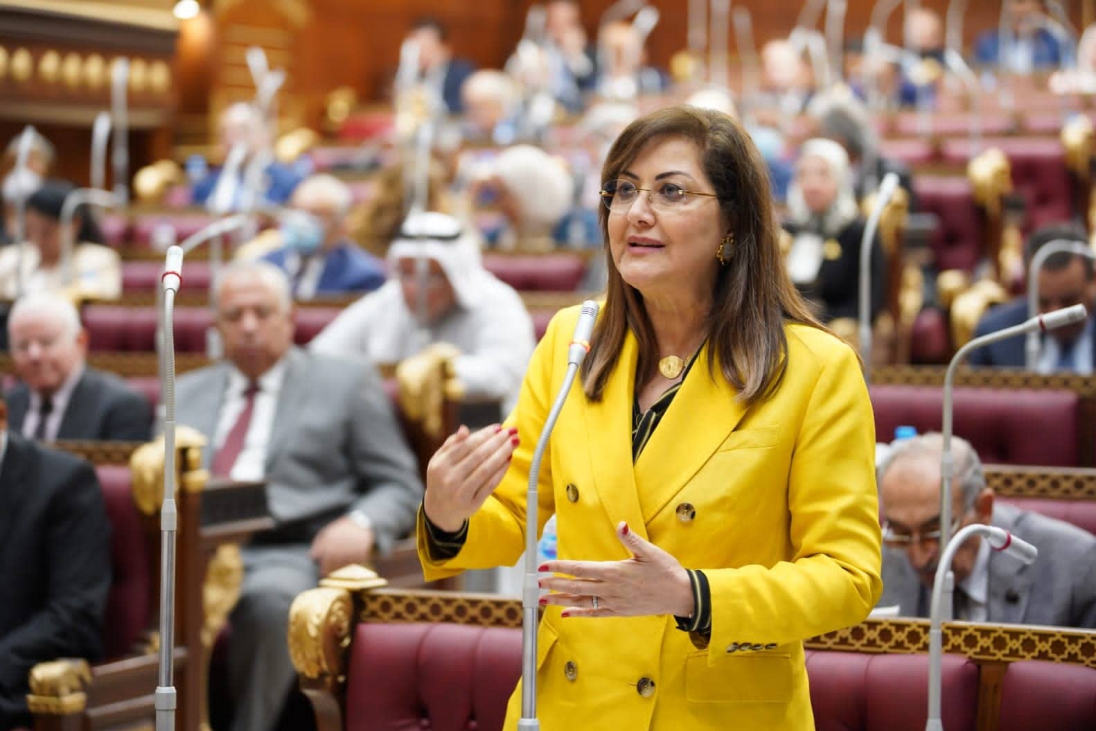 وزيرة التخطيط أمام مجلس الشيوخ..نستهدف 900 ألف فرد في سوق العمل خلال العام المالي الجديد