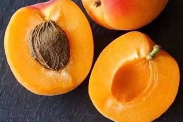يعالج فقر الدم.. تعرف على فوائد المشمش