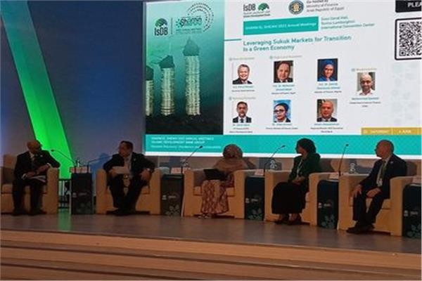 وزير المالية: مصر رفضت إصدار صكوك تستند على ملكية السد العالي وقناة السويس