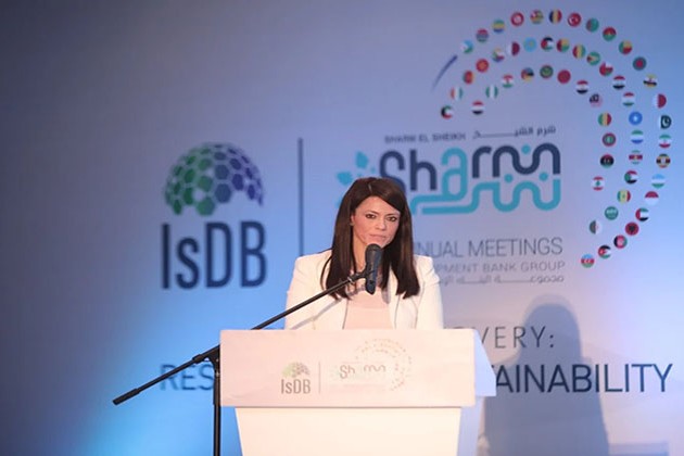 المشاط: 2022 عام محوري للتعاون لتحفيز جهود التنمية المستدامة والعمل المناخي