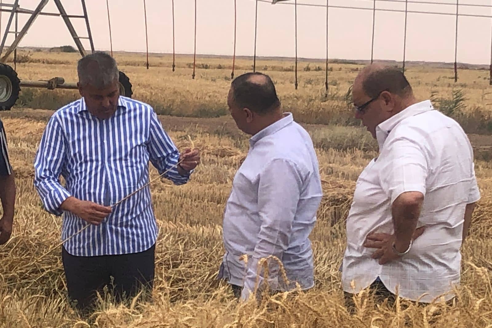 وزير قطاع الأعمال يتلقى تقريرًا حول تطور أداء شركة جنوب الوادي بتوشكى وفرص الشراكة مع القطاع الخاص