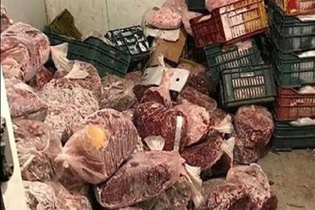 ضبط 5.5 طن لحوم ودواجن فاسدة قبل تجهيزها وبيعها وجبات للمواطنين بمطعم وثلاجة بالقاهرة