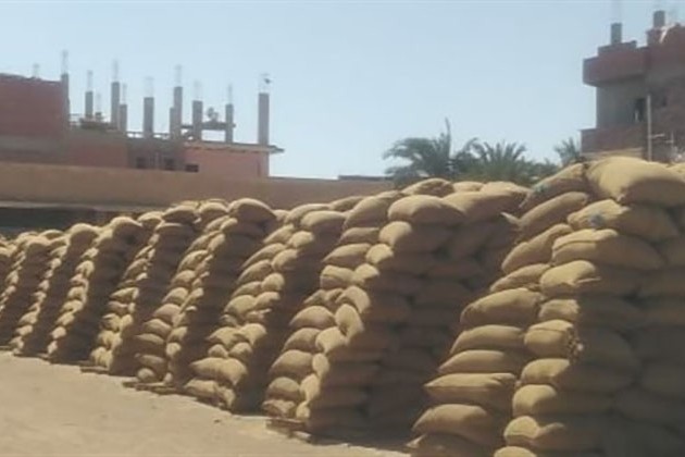 ضبط 16 قضية امتناع عن توريد الحصص المقررة من الأقماح