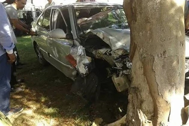 إصابة 12 شخصا فى حادث تصادم ميكروباص بشجرة بأسوان