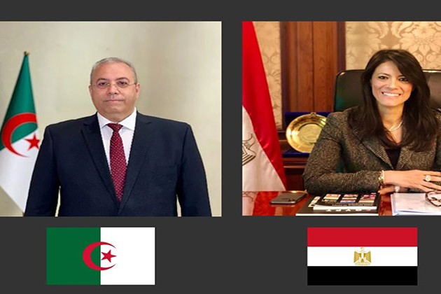 اليوم.. انطلاق الاجتماعات التحضيرية للجنة العليا المصرية الجزائرية المشتركة
