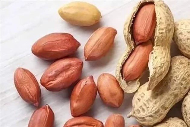 دراسة: الفول السوداني والبيض يقللان خطر الإصابة بالحساسية الغذائية لدى الأطفال