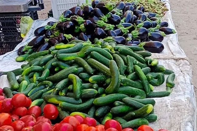 أسعار الخضروات والفاكهة بالأسواق اليوم الخميس