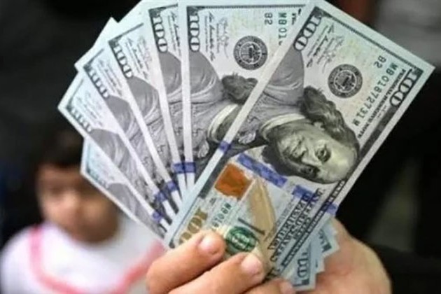 سعر الدولار في مصر اليوم الأربعاء