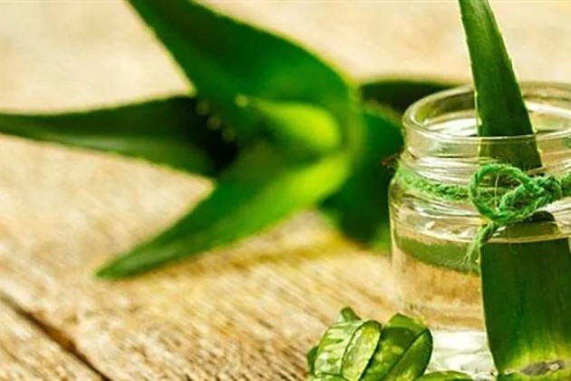 الكركم والبابونج أبرزها.. 5 أعشاب مضادة للالتهابات تساعد على علاج الجلد