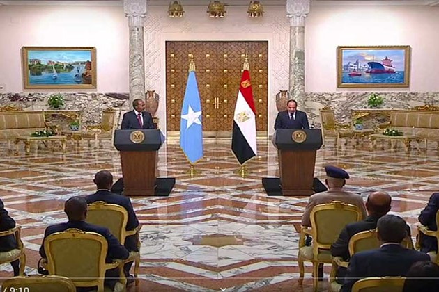شاهد.. السيسي يؤكد لنظيره الصومالي ضرورة التوصل لاتفاق ملزم بشأن سد النهضة