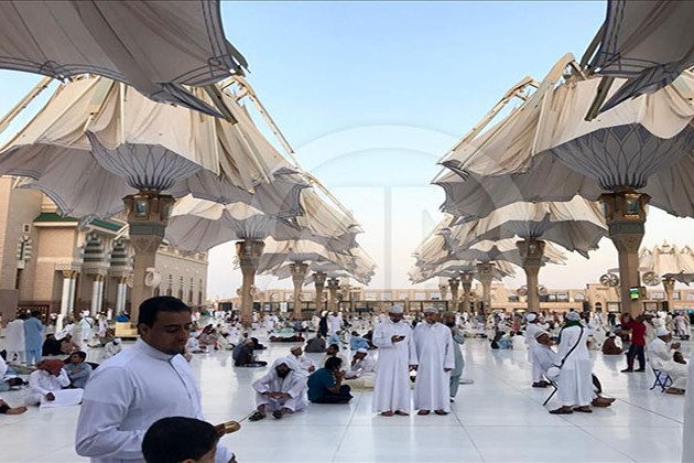 تعرف على أعداد الحجاج الذين وصلوا إلى المدينة المنورة حتى الآن