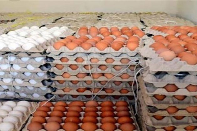 انخفاض بأسعار البيض في الأسواق اليوم.. ويتراوح بين 60 لـ 62.5 جنيهًا للمستهلك