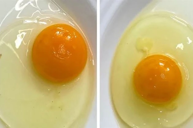 اختبار في 3 ثوان .. كيف تعرف البيض الفاسد من الطازج؟