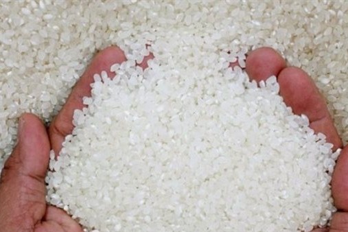 المنوفي: 2000 جنيه انخفاضا لطن الأرز وتوقعات بمواصلة الهبوط خلال الأيام المقبلة