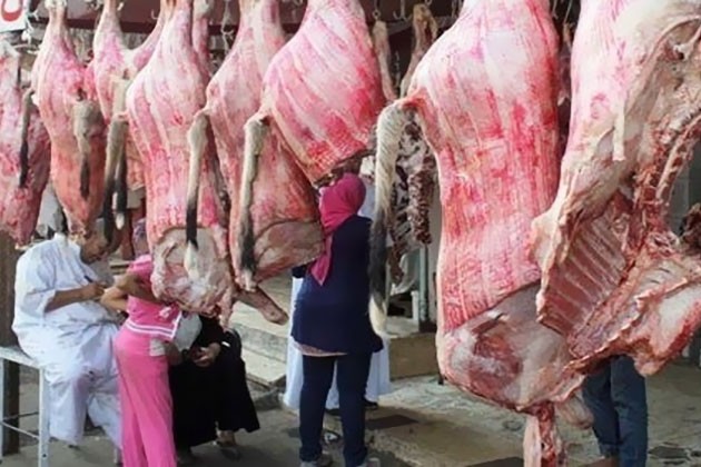 أسعار اللحوم في الأسواق اليوم