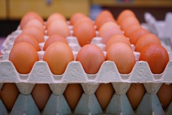 استقرار أسعار البيض اليوم الخميس