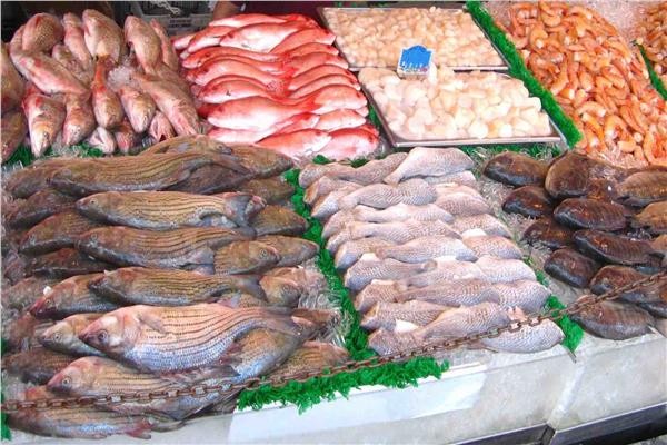 استقرار أسعار الأسماك في سوق العبور اليوم الخميس