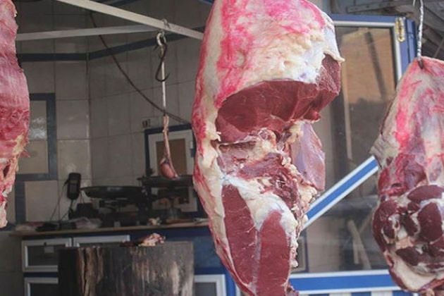 أسعار اللحوم البلدي والضأن والجملى اليوم