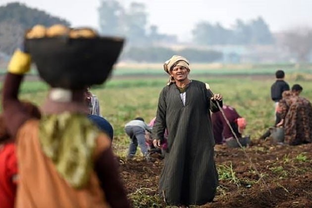 وزير الزراعة يهنئ الفلاح المصري في عيده الـ 70 ويؤكد أن الدولة تراهن على وطنيته دائمًا
