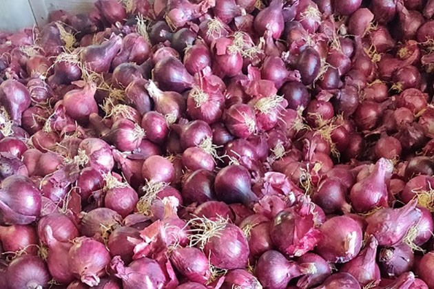 وزير الزراعة يعلن فتح الأسواق الباكستانية أمام البصل المصرى
