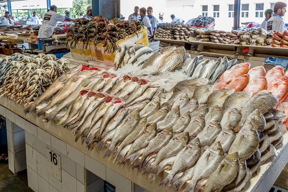 أسعار الأسماك في السوق اليوم.. والجمبري 70 جنيها