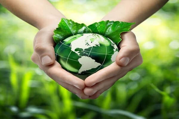 محافظة الغربية تحتل المركز الاول في المبادرة الوطنية للمشروعات الخضراء