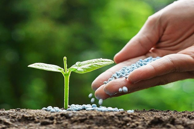 عمومية سماد مصر تقرر تعديل مواد بالنظام الأساسي وتعتمد صلاحيات العضو المنتدب