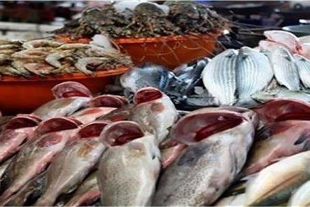 استقرار أسعار الاسماك في سوق العبور اليوم الأربعاء