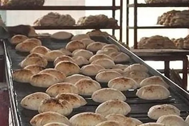 تحرير 9 محاضر مخالفات ضد أصحاب المخابز في حملات تموينية بالغربية